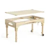 Large Sand and Water Table
