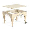 Small Sand and Water Table