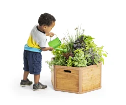 Toddler Platform